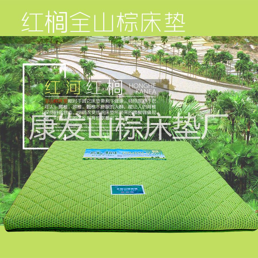 無(wú)膠山棕床墊片絲6厘米厚4D網(wǎng)圖片