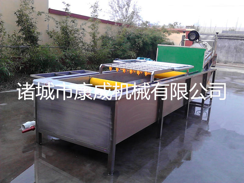 果蔬清洗機氣泡清洗機油桃清洗機圖片