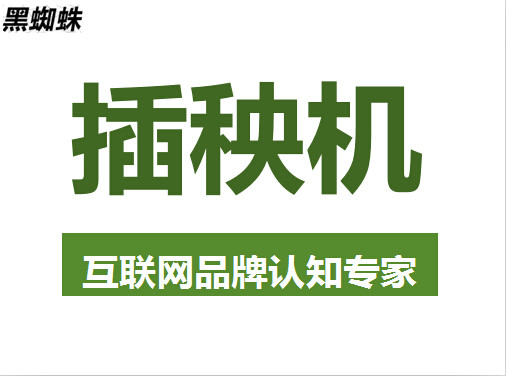 详谈网络推广优势 且看黑蜘蛛扮演的角色