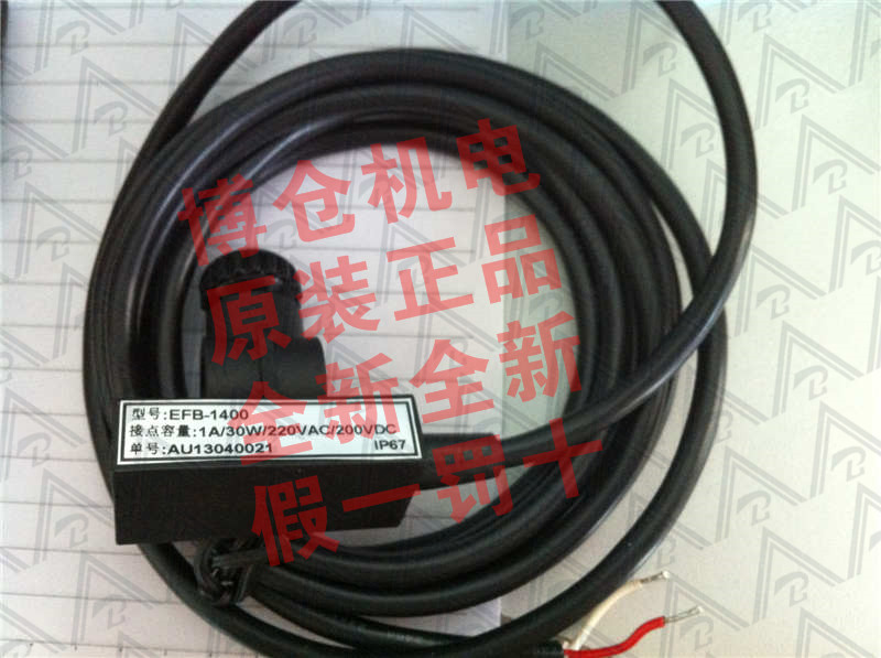 EFB-1400料位開(kāi)關(guān)圖片