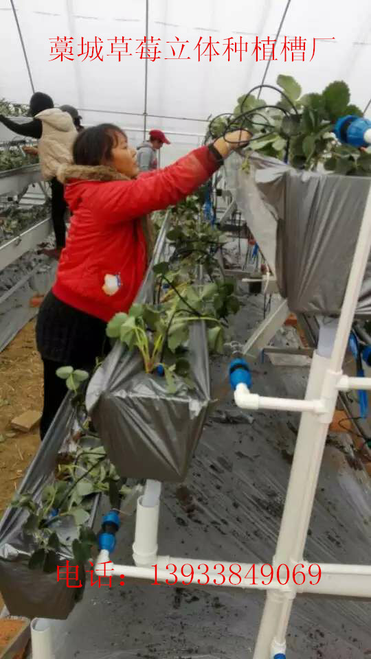 石家庄市草莓种植槽草莓无土栽培槽厂家供应草莓种植槽草莓无土栽培槽