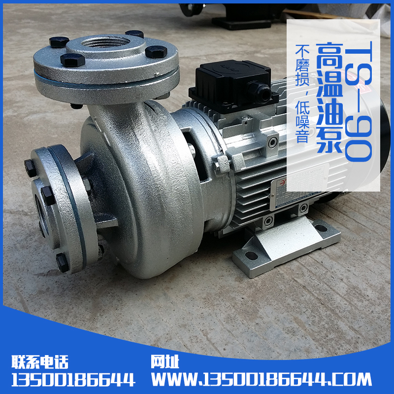 TS-90油泵生產(chǎn)廠家批發(fā)圖片