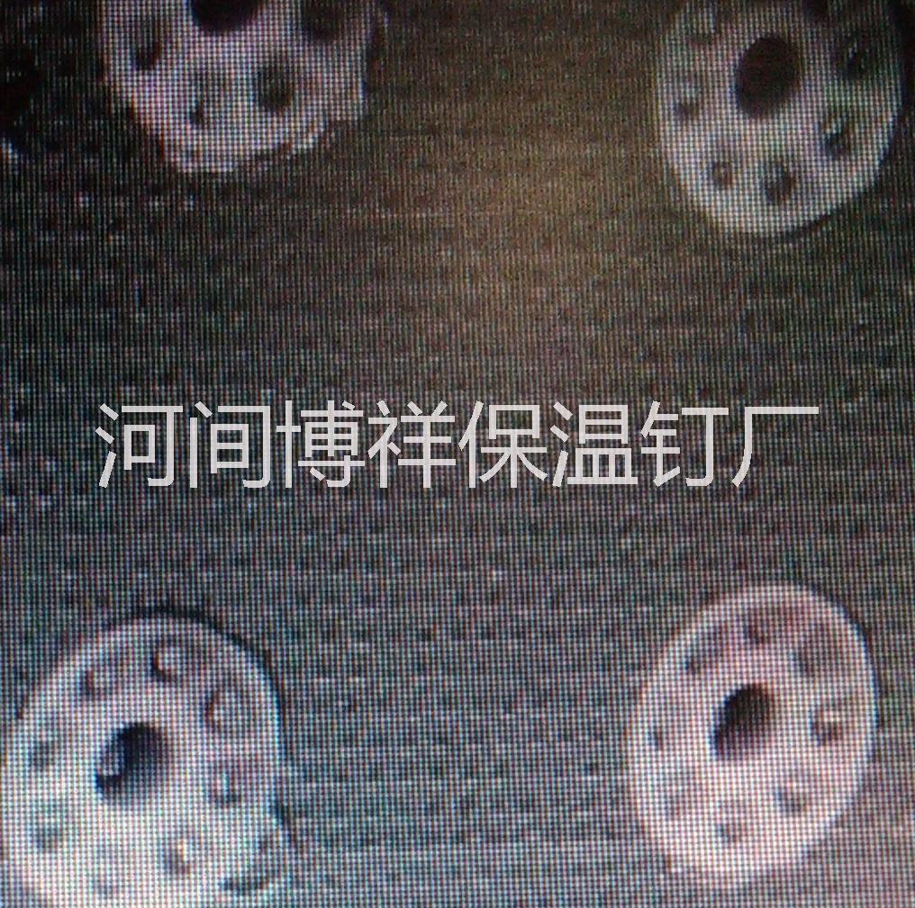 外墻保溫射釘圖片/外墻保溫射釘樣板圖 (3)