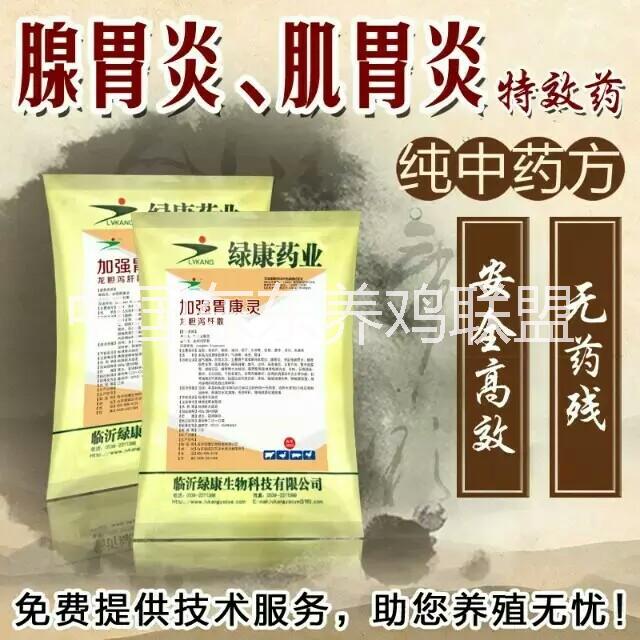 供应胃康灵加强型胃康灵--腺肌胃炎特效药1天见效，纯中药拌料开口药图片