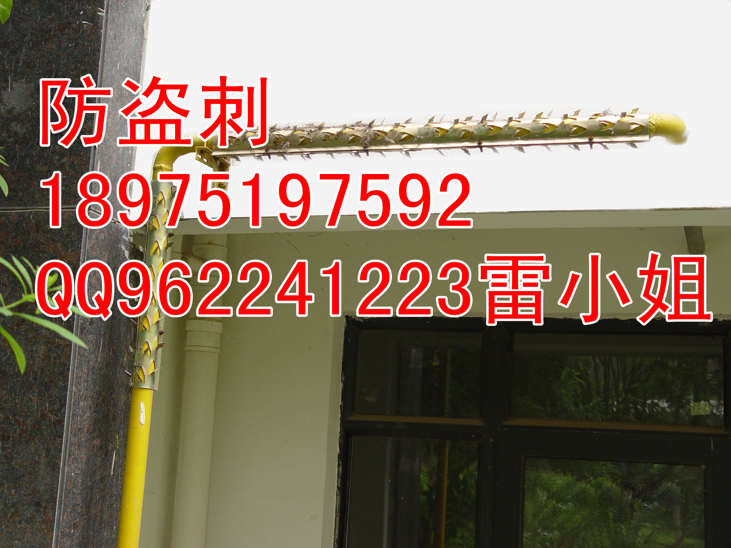 供應(yīng)防盜刺圖片