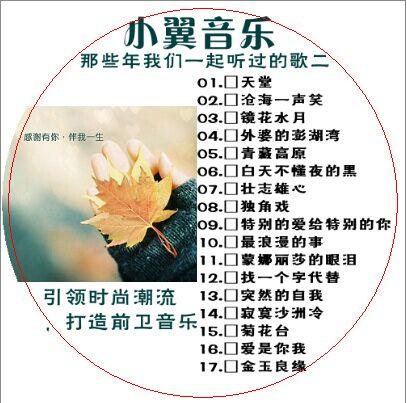 供应汽车CD光盘经典老歌歌曲光盘制作 光盘批发 汽车用品 黑胶CD光盘 无损音质 车载必备图片