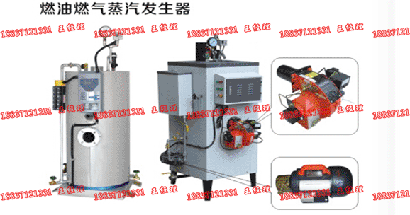 供应燃油燃气蒸汽发生器