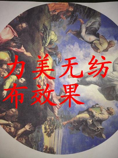 供应珍珠画布/打印无纺布/弱溶剂无纺图片