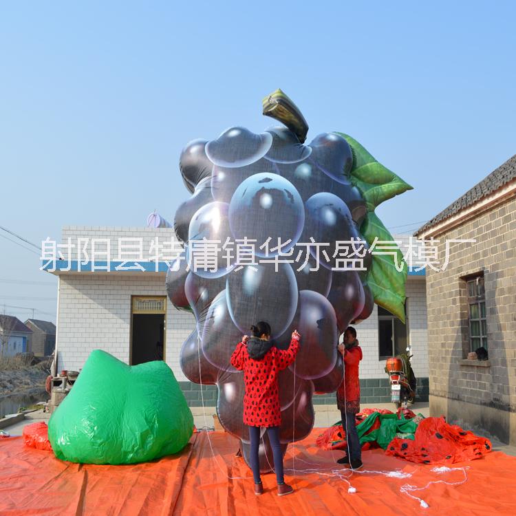 升空葡萄氣模圖片/升空葡萄氣模樣板圖 (2)