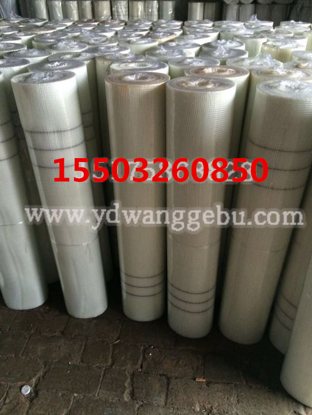 玻璃纖維網(wǎng)格布圖片/玻璃纖維網(wǎng)格布樣板圖 (2)