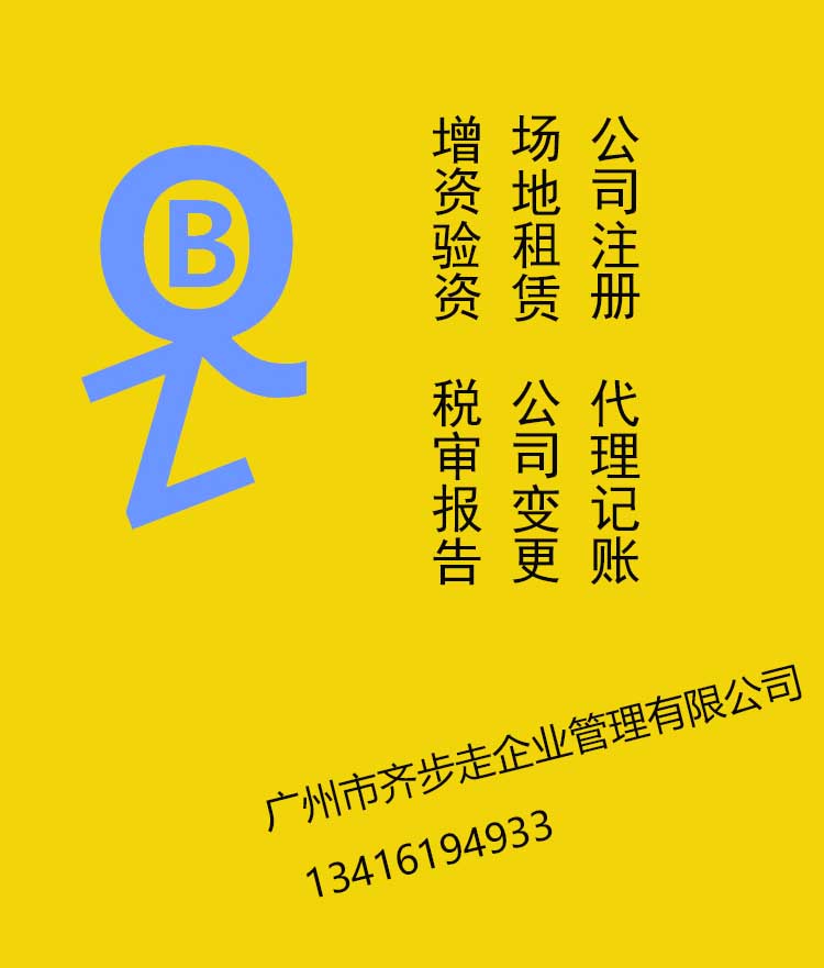 广州市广州公司一般纳税人代理记账厂家