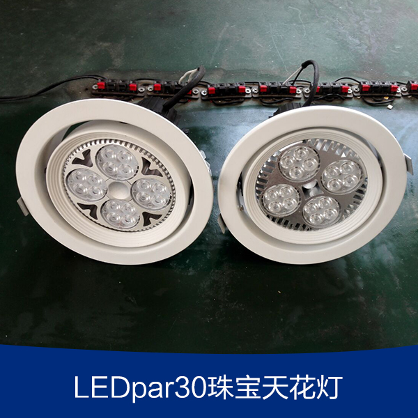 LEDpar30珠宝天花灯图片