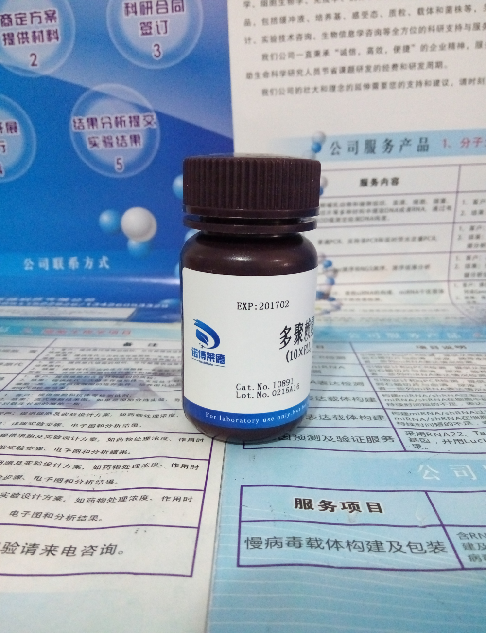 多聚賴氨酸圖片/多聚賴氨酸樣板圖 (2)