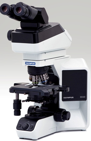 供应用于检测的奥林巴斯显微镜BX43价格，图片