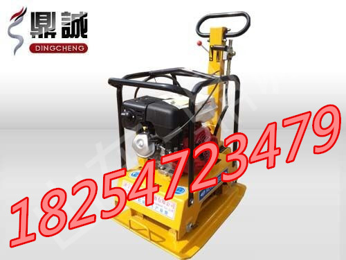 動力汽油機圖片/動力汽油機樣板圖 (1)