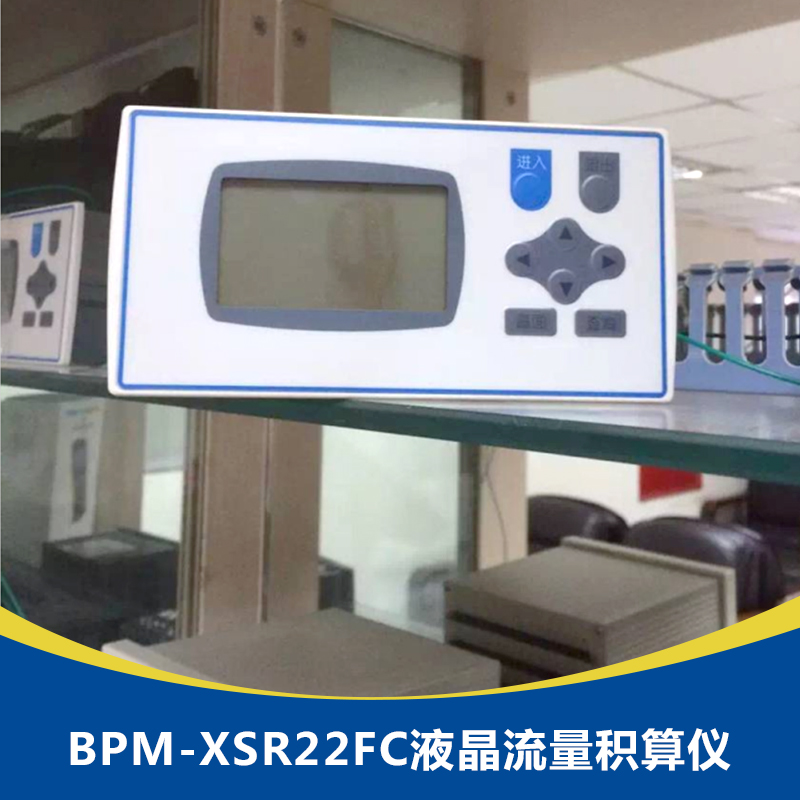 供应厂家直销生产定制BPM-XSR22FC液晶流量积算仪图片