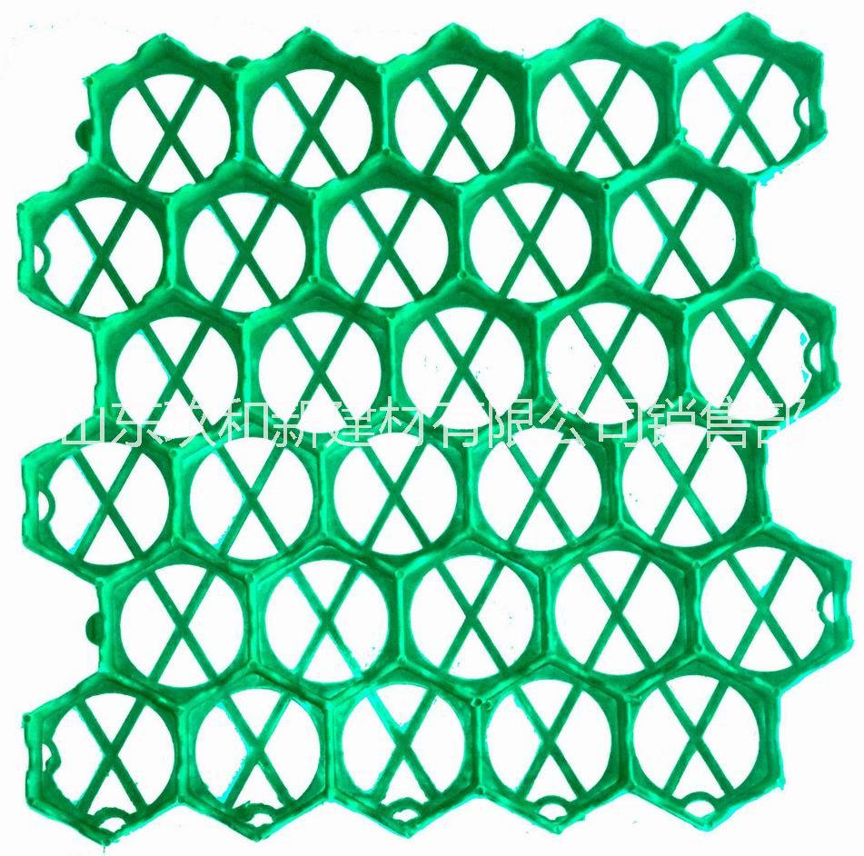 天津植草格厂家价格合理规格齐全图片