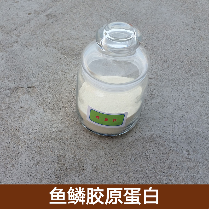 鱼鳞鱼胶原肽sp鱼鳞鱼胶原肽  一级食品鱼鳞鱼胶原肽 小分子胶原肽 胶原肽供应商