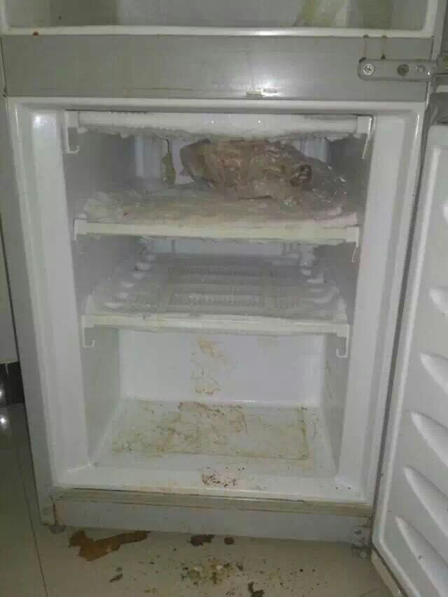 冰箱圖片/冰箱樣板圖 (2)