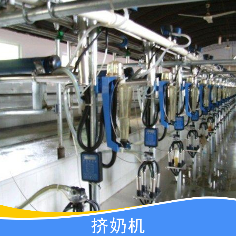 魚骨式擠奶機(jī)圖片