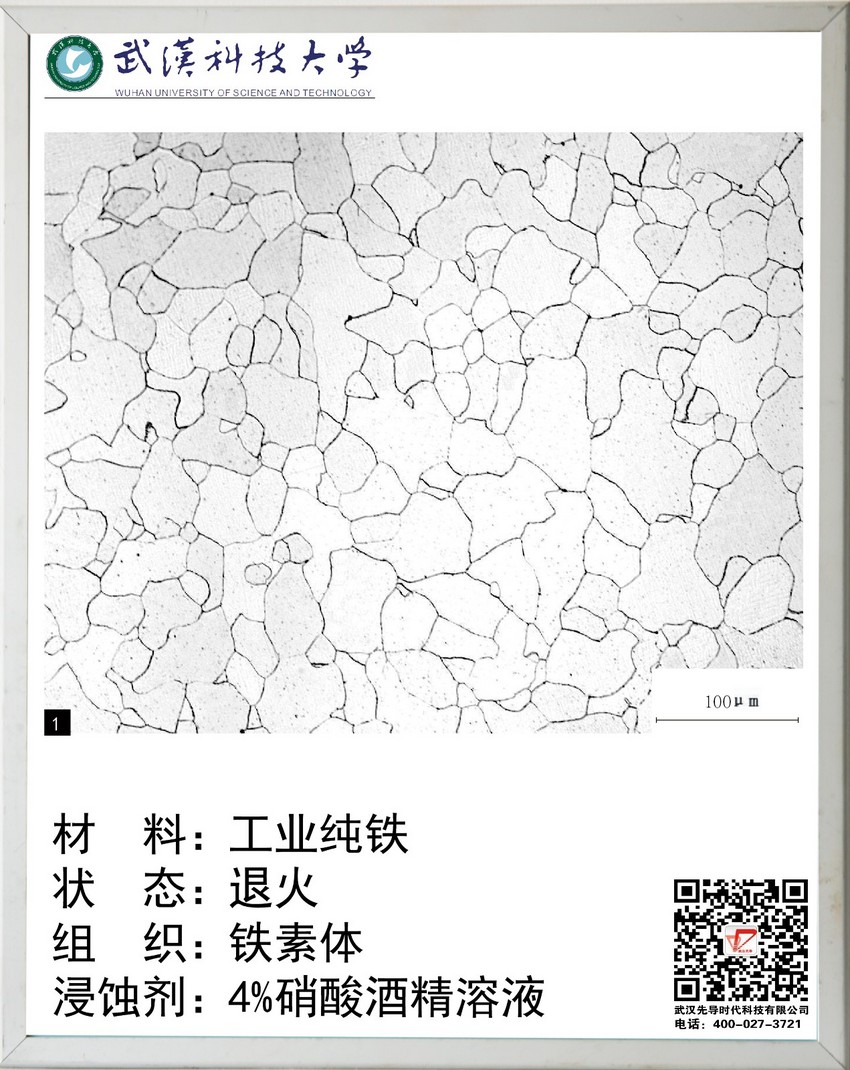 供应武汉先导材料热处理工艺 金相挂图 金属材料热处理-86种金相组织 可加校徽定制图片