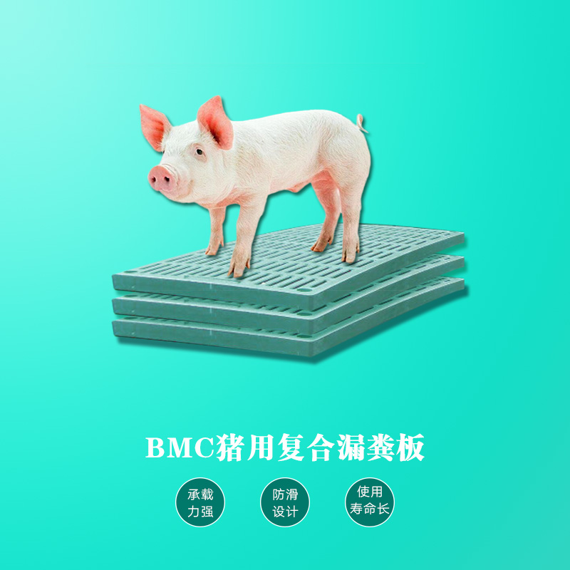 BMC复合母猪加厚板图片