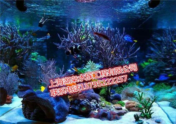 深圳亚克力海水生态鱼缸批发 鱼缸水族箱定做  圆柱形鱼缸图片