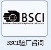 供应石家庄廊坊衡水BSCI验厂培训图片