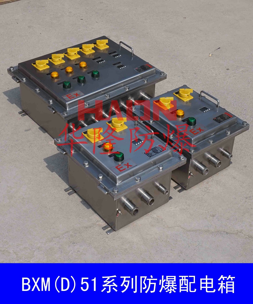 供应BXMD-F非标防爆配电箱，河南华隆防爆配电箱厂家直销，性价比高图片
