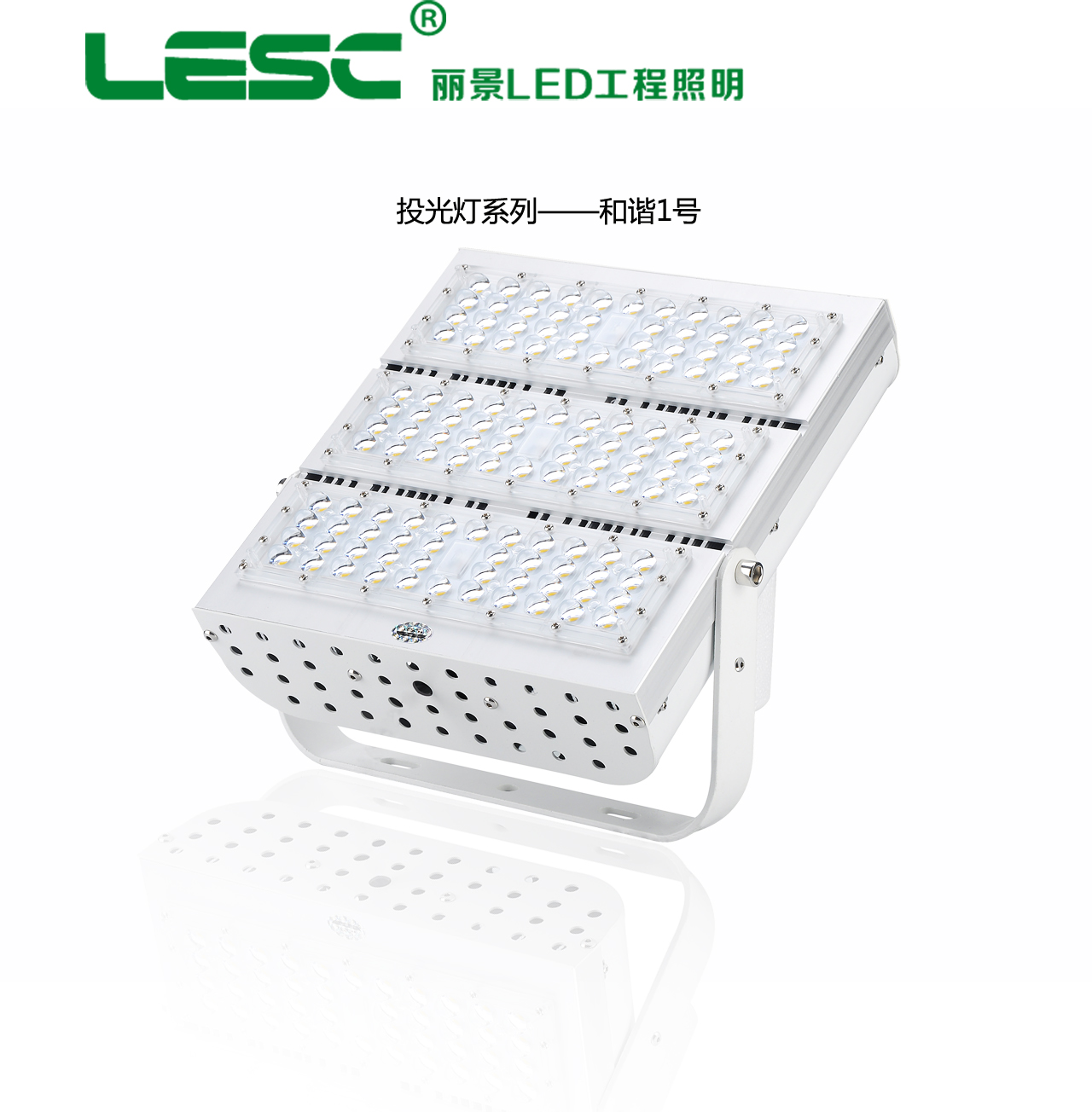 供应景观亮化照明LED大功率投光灯图片