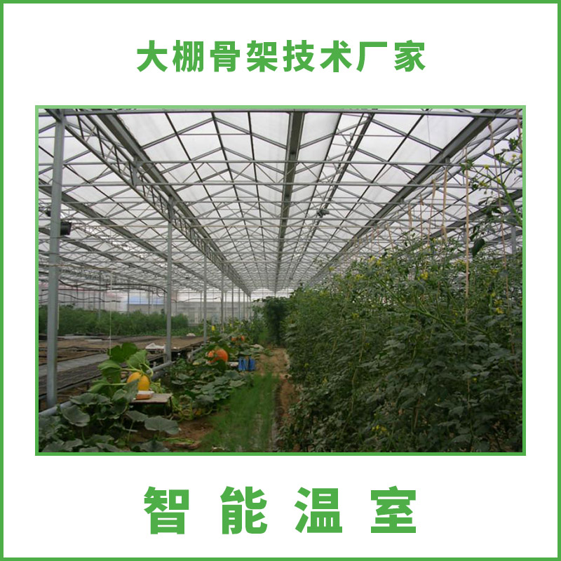 供应智能温室 智能温室技术 智能调节温室 蔬菜温室智能温室图片