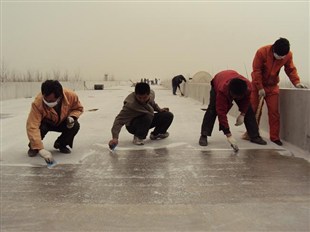 養(yǎng)護(hù)劑圖片