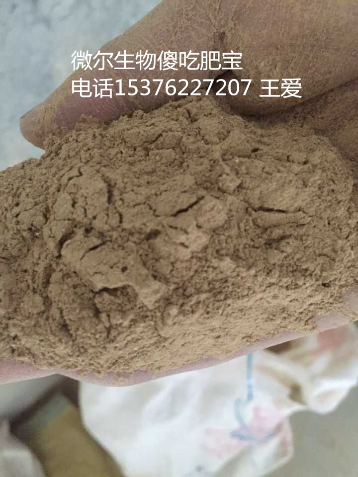 蛋鸡饲料添加剂壳红素蛋鸡饲料添加剂微生态饲料添加剂厂家壳红素使蛋壳颜色变深变红图片