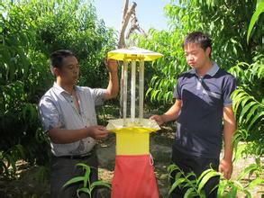 吉安市太阳能杀虫灯厂家供应太阳能杀虫灯厂家