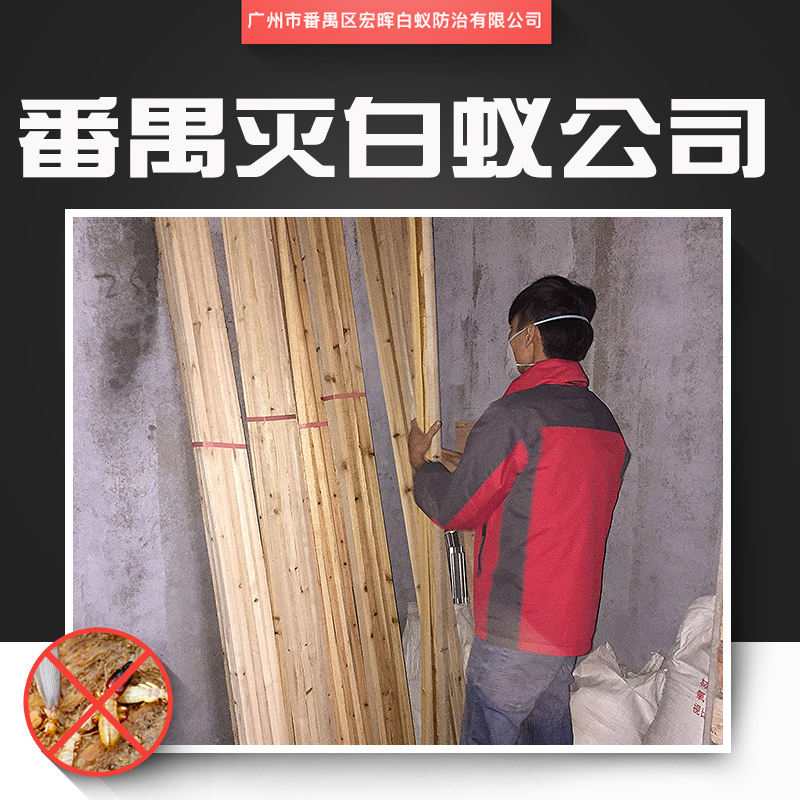 供应番禺区灭白蚁公司 市桥专业灭白蚁 装修房屋白蚁预防工程图片