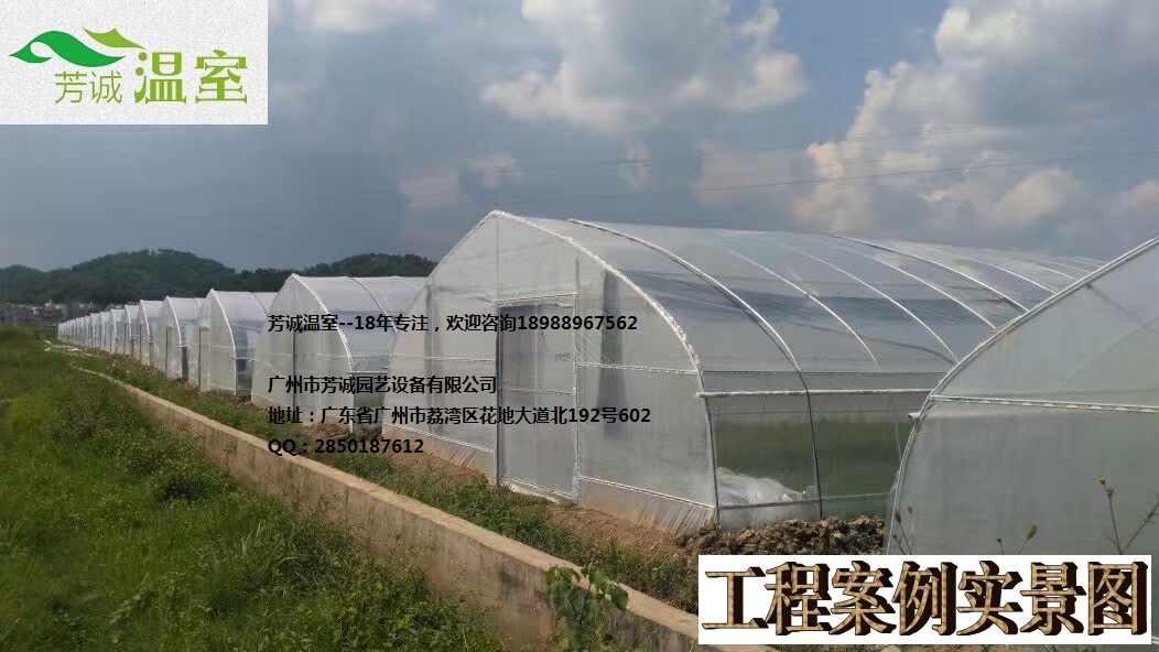 簡易大棚、大棚價格圖片