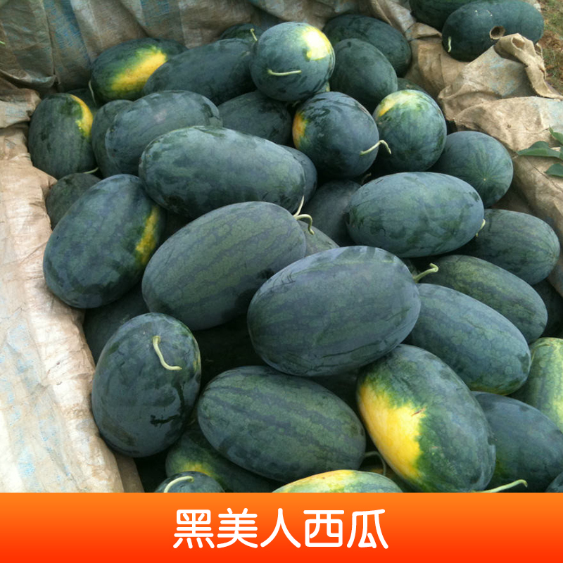 山東黑美人西瓜圖片