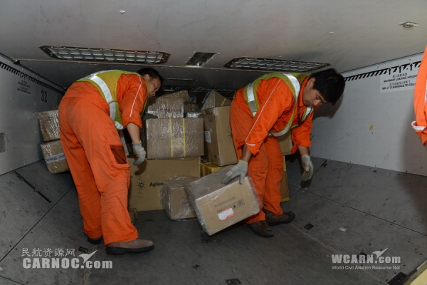 上海到石家庄冻品-大闸蟹空运  航空运输 空运专线图片