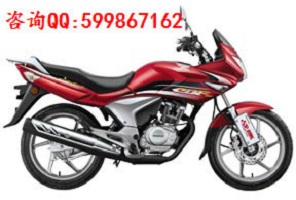 新大洲本田圖片/新大洲本田樣板圖 (3)