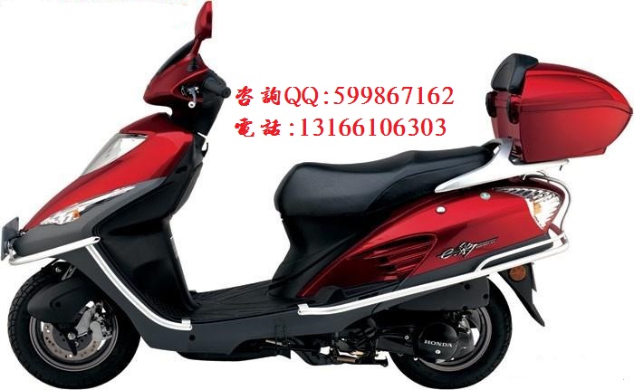 新大洲本田圖片/新大洲本田樣板圖 (4)