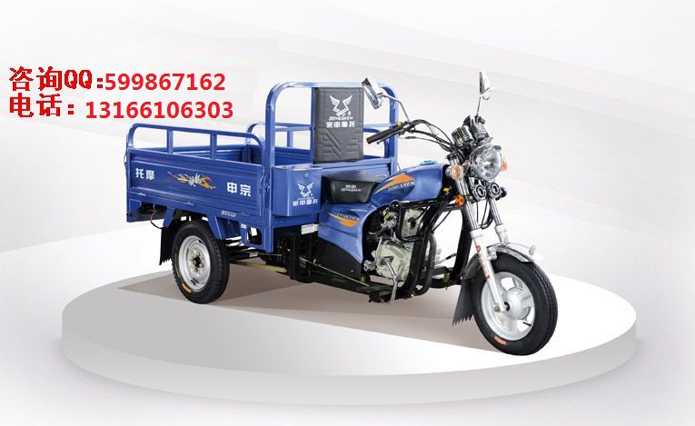 宗申Q1太子125-1.5米三輪圖片