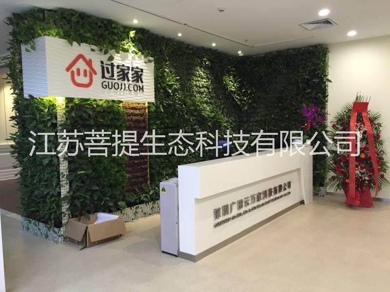 植物墙，仿真植物墙 植物墙、仿真植物墙，仿真植物墙