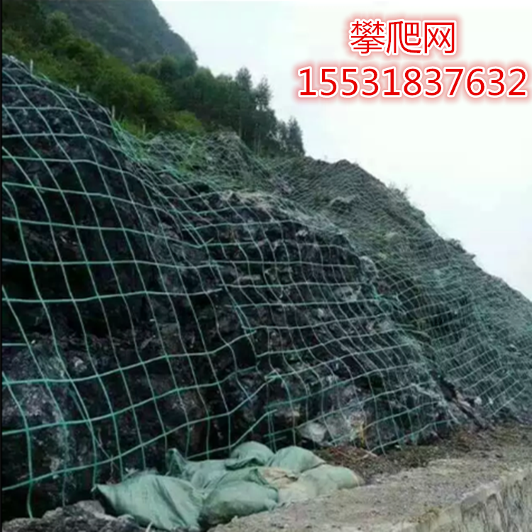 植物攀爬網(wǎng)圖片/植物攀爬網(wǎng)樣板圖 (4)