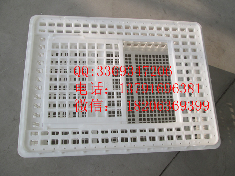 供应鸡鸭专用运输笼、成鸡周转筐价格、塑料制品周转箱、周转箱规格图片