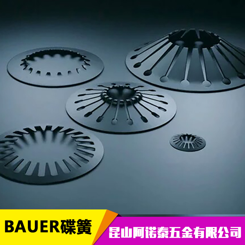 BAUER碟型弹簧图片