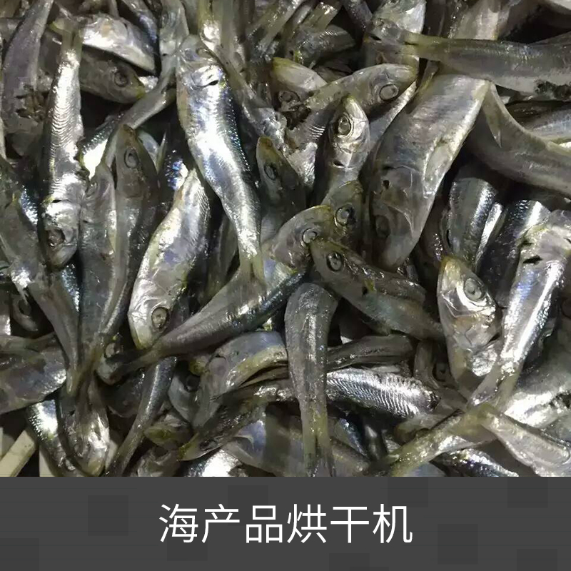 海产品烘干机 水产品烘干机 箱式热泵干燥机 热风循环烘干机 海产品鱼类专用热泵烘干设备