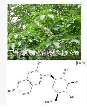 秦皮甲素，栗树皮甙;七叶灵;七叶 秦皮甲素 栗树皮甙 七叶甙 甲素