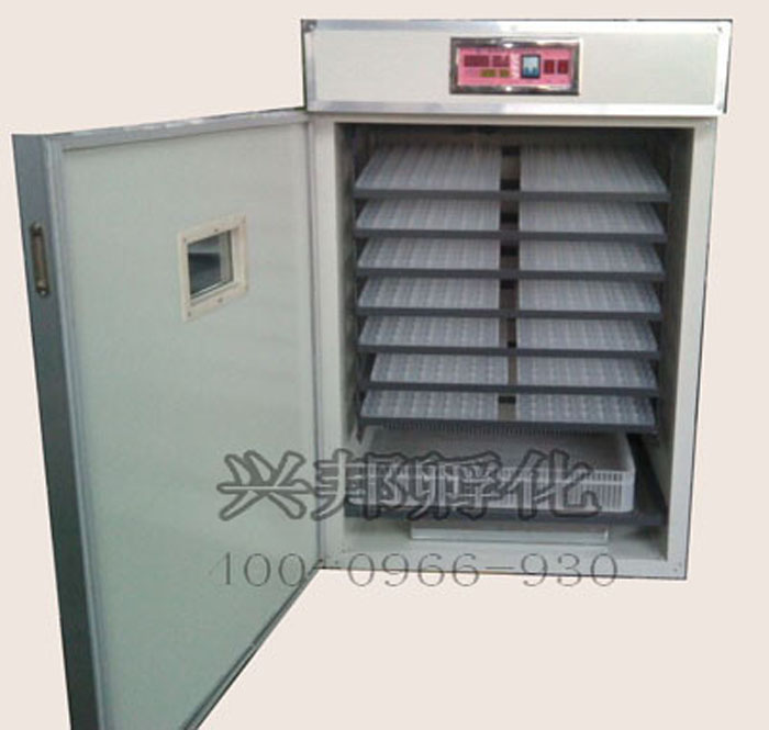 孵化機(jī) 智能孵化器，大中小孵化機(jī)圖片/孵化機(jī) 智能孵化器，大中小孵化機(jī)樣板圖 (3)