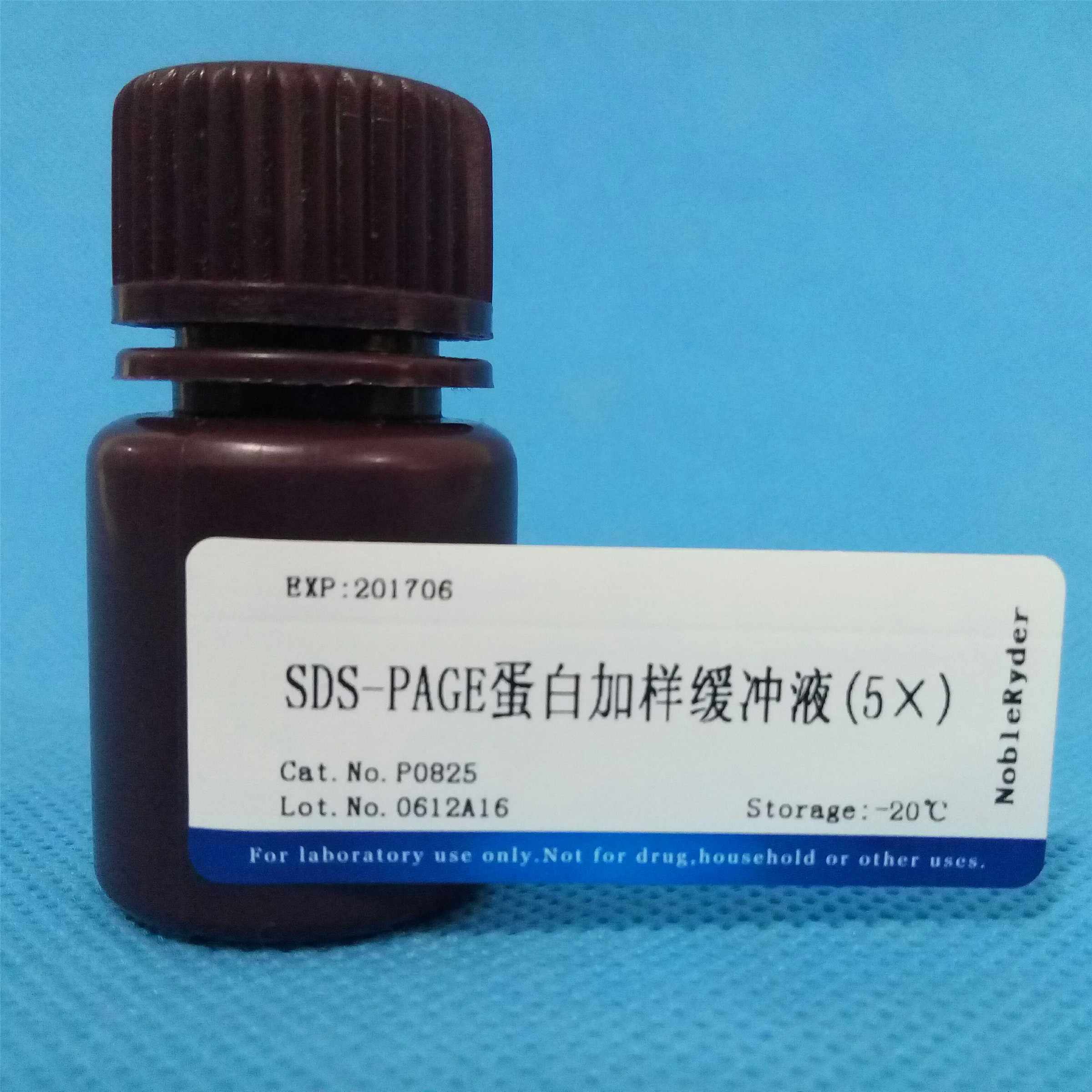 SDS-PAGE蛋白加樣緩沖液圖片/SDS-PAGE蛋白加樣緩沖液樣板圖 (1)