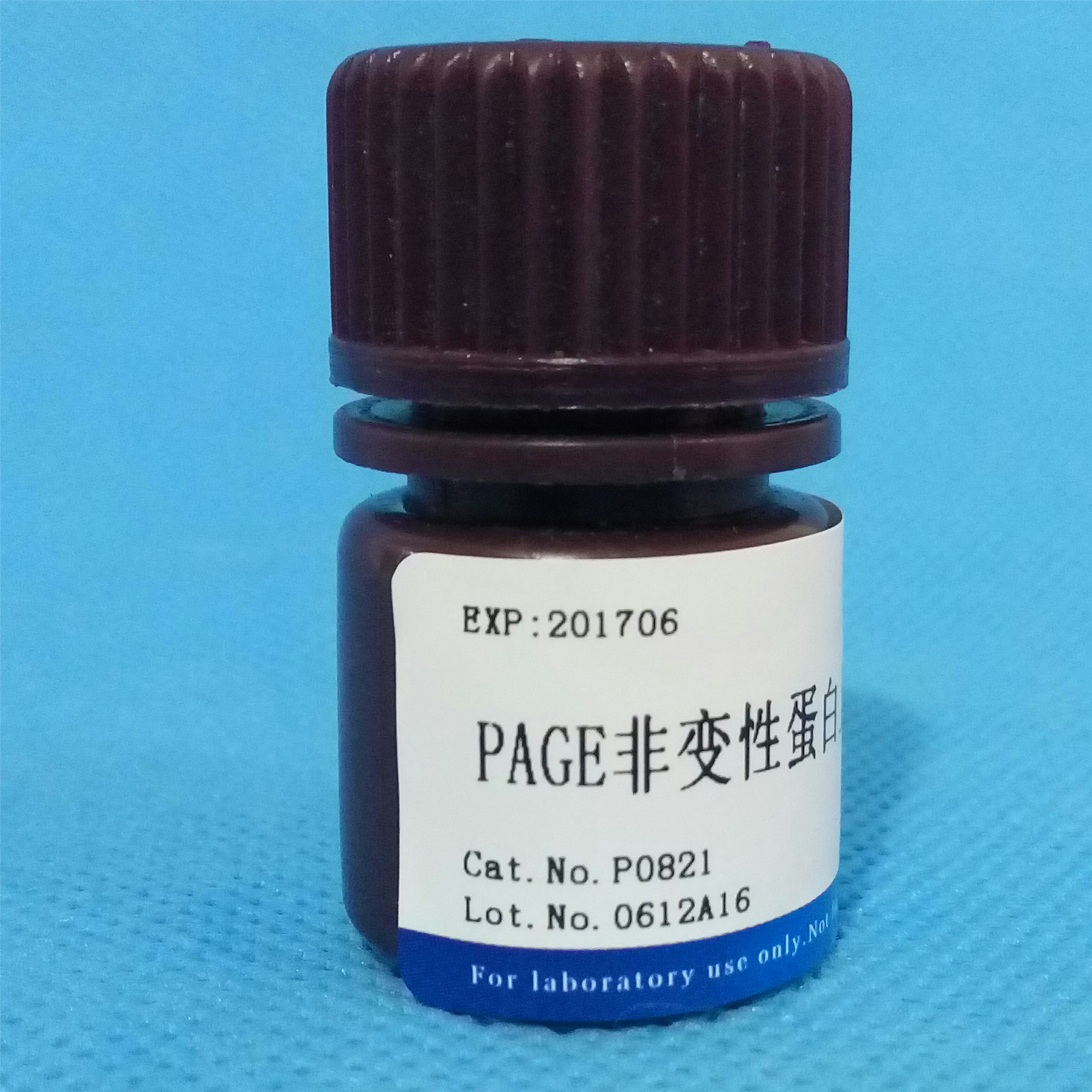 PAGE非變性蛋白上樣緩沖液(5圖片/PAGE非變性蛋白上樣緩沖液(5樣板圖 (4)